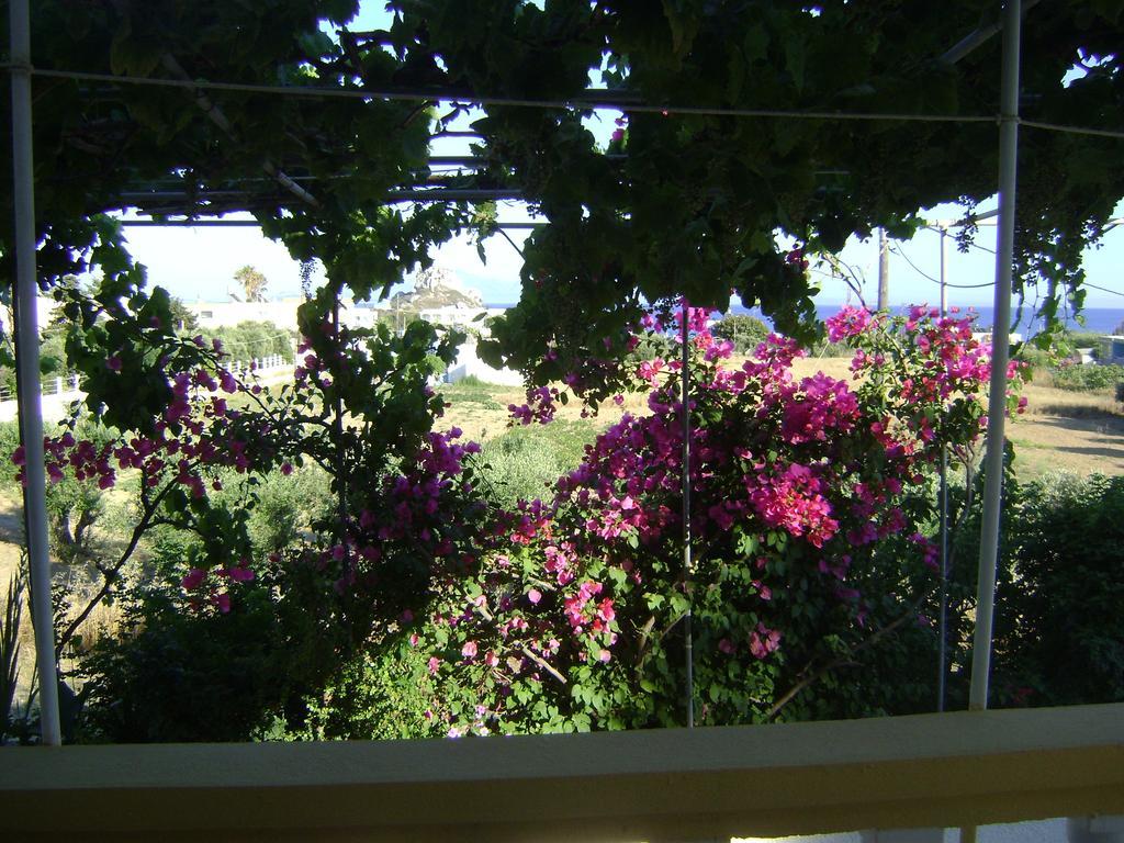 Panormitis Studios Kéfalos Kamer foto